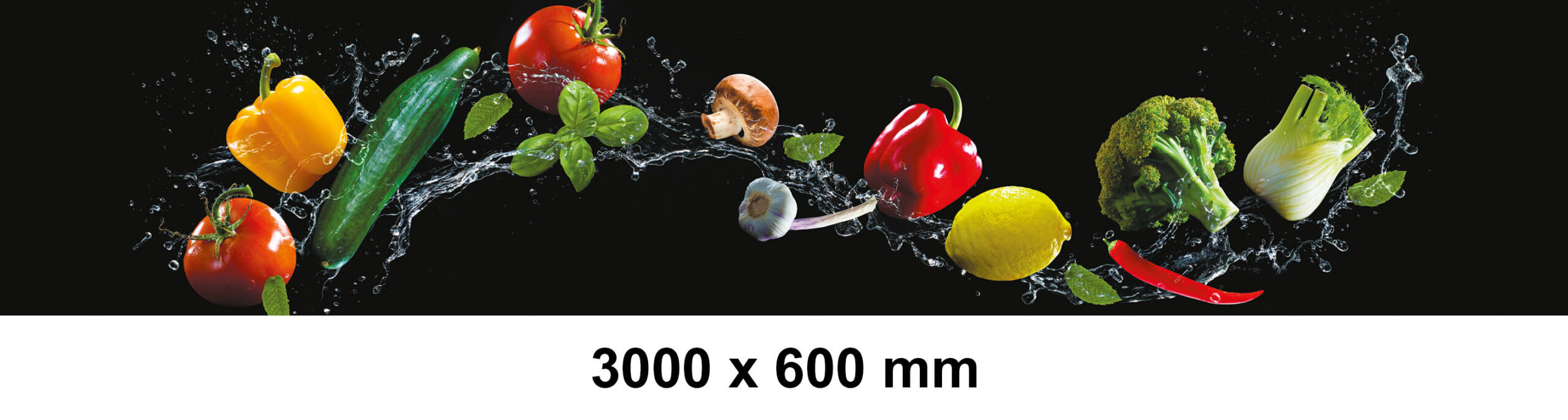 KM_10_19_3000x600