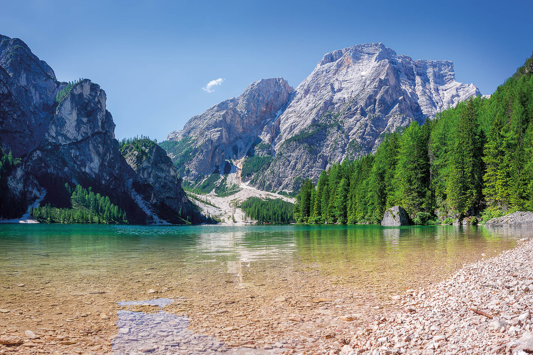 PlateART Duschrückwand Küchenrückwand Wandverkleidung Bergsee