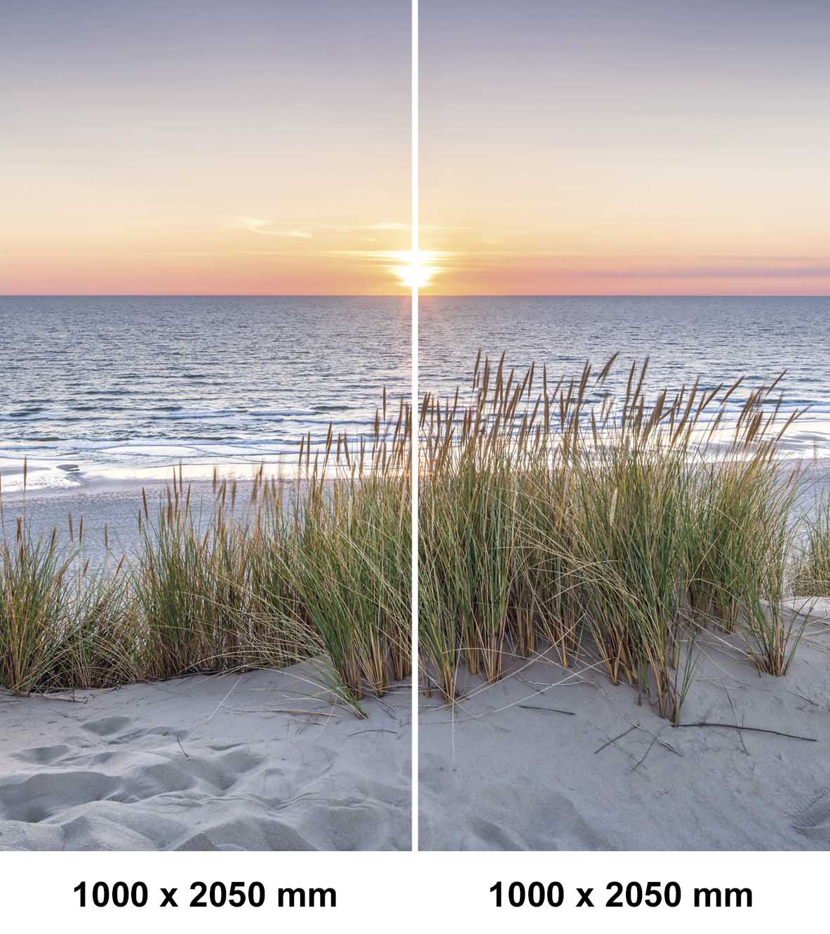 Shop_MAR_37_21_1000x2050