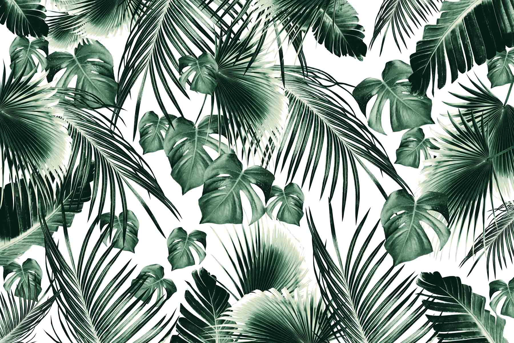 PlateART Duschrückwand PlateARTIST Dschungel Blätter Monstera