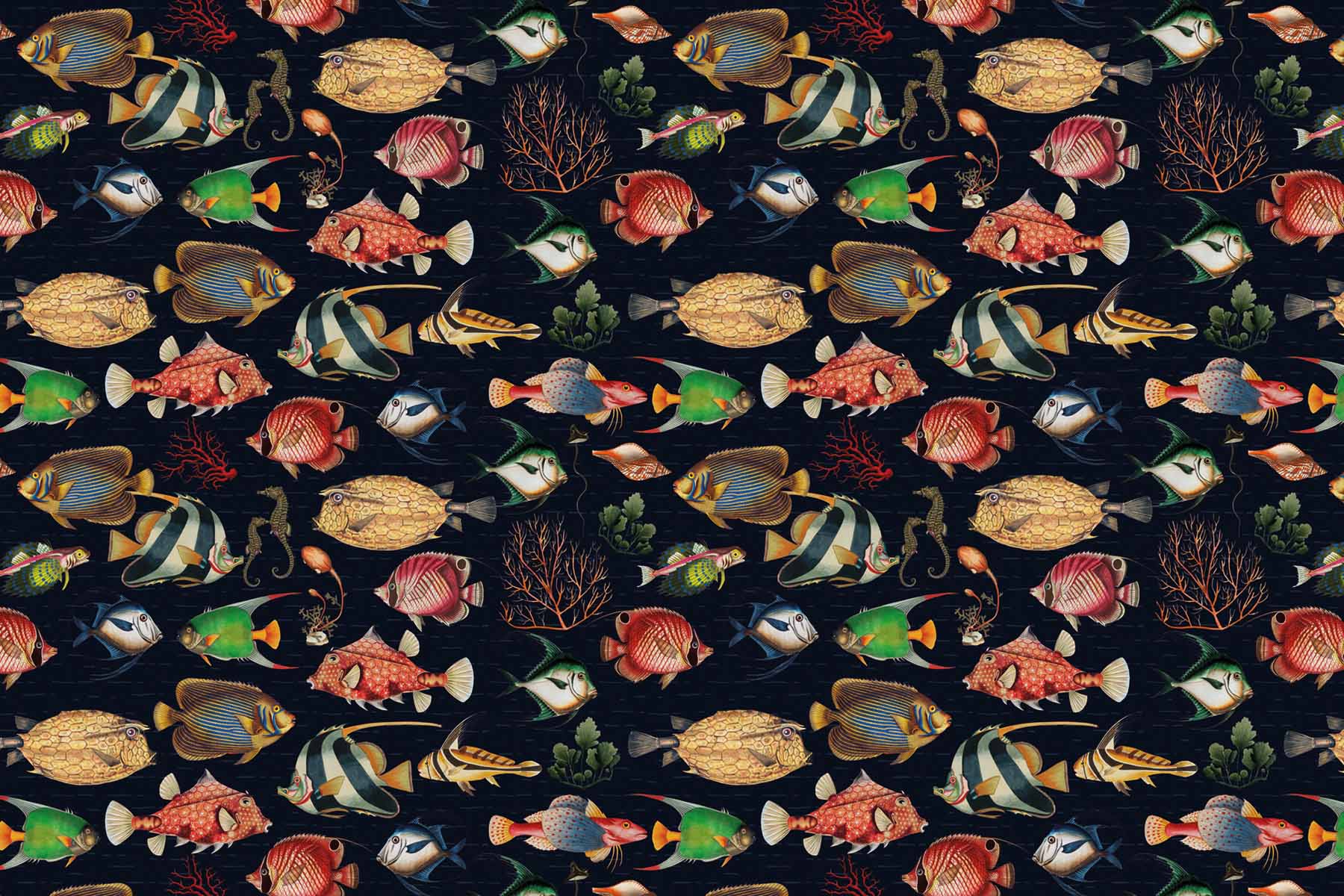 PlateART Duschrückwand Küchenrückwand Wandverkleidung PlateARTIST Motiv Fische