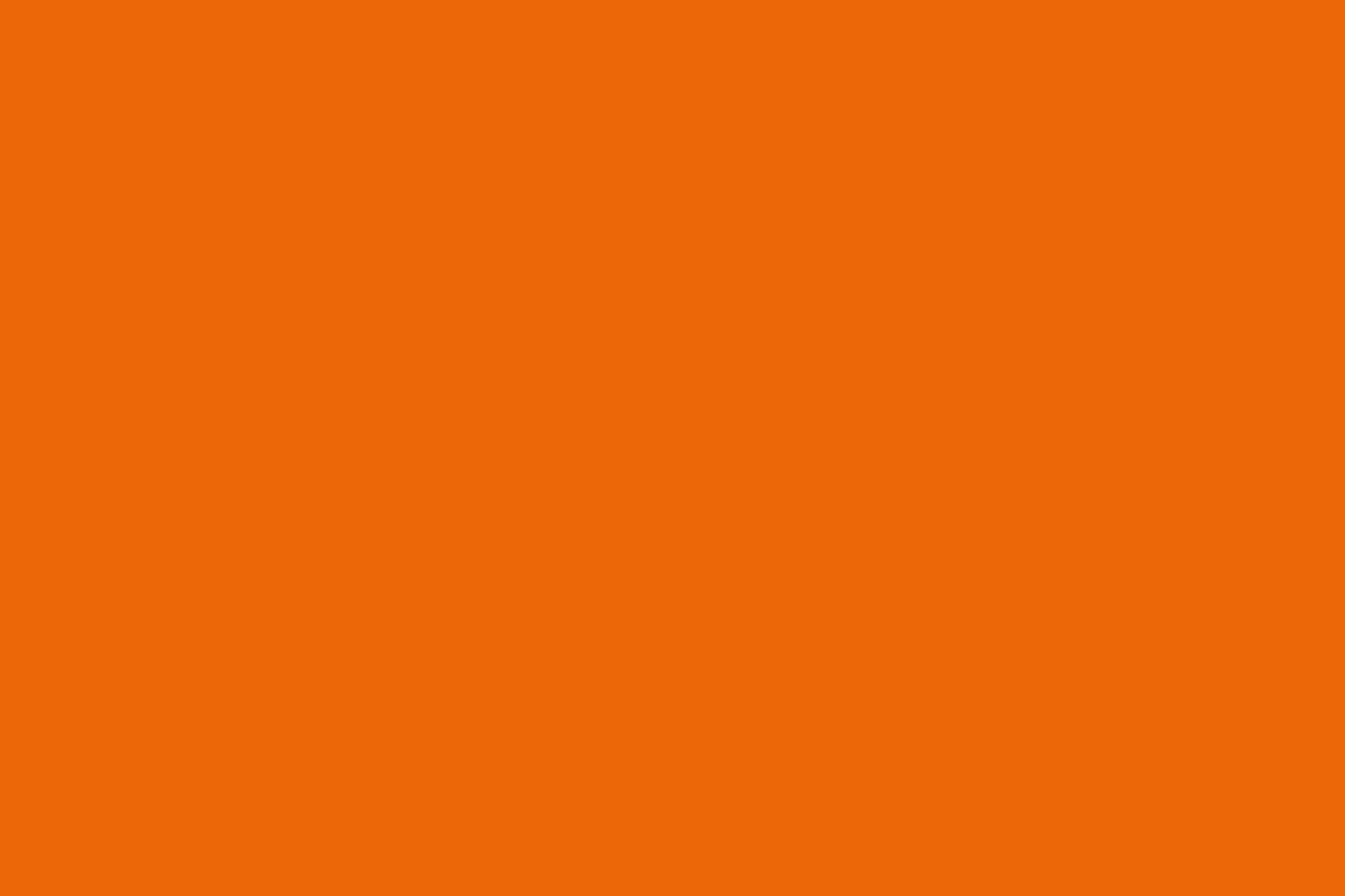 PlateART Duschrückwand Küchenrückwand Wandverkleidung RAL 2010 Signalorange