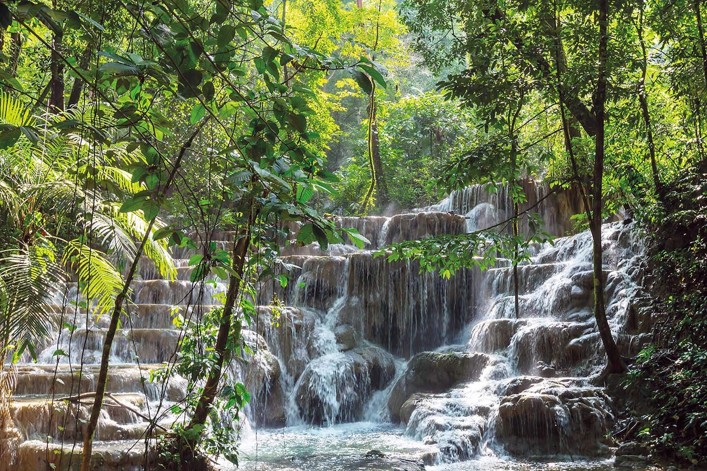 PlateART Wandverkleidung Wasserfall Wald Natur WF_09_21