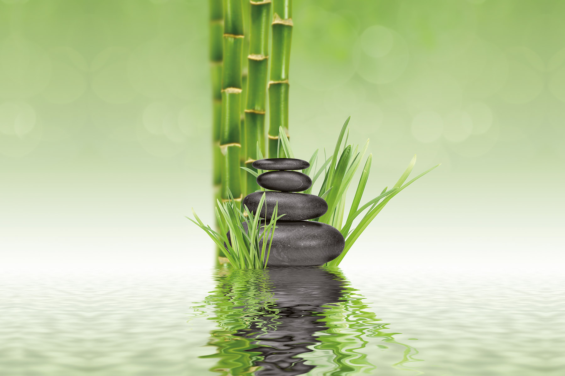 PlateART Duschrückwand Küchenrückwand Wandverkleidung Wellness Spa Zen Steine Gräser