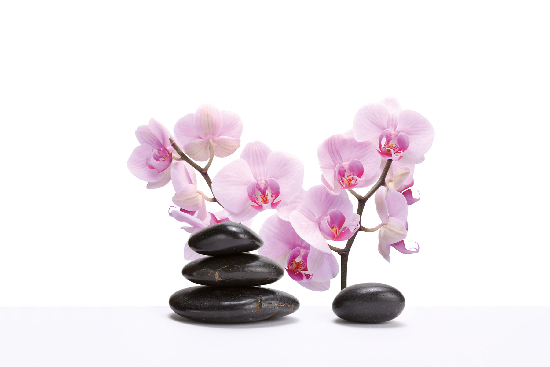 PlateART Duschrückwand Küchenrückwand Wandverkleidung Wellness Spa Zen Steine Orchideen