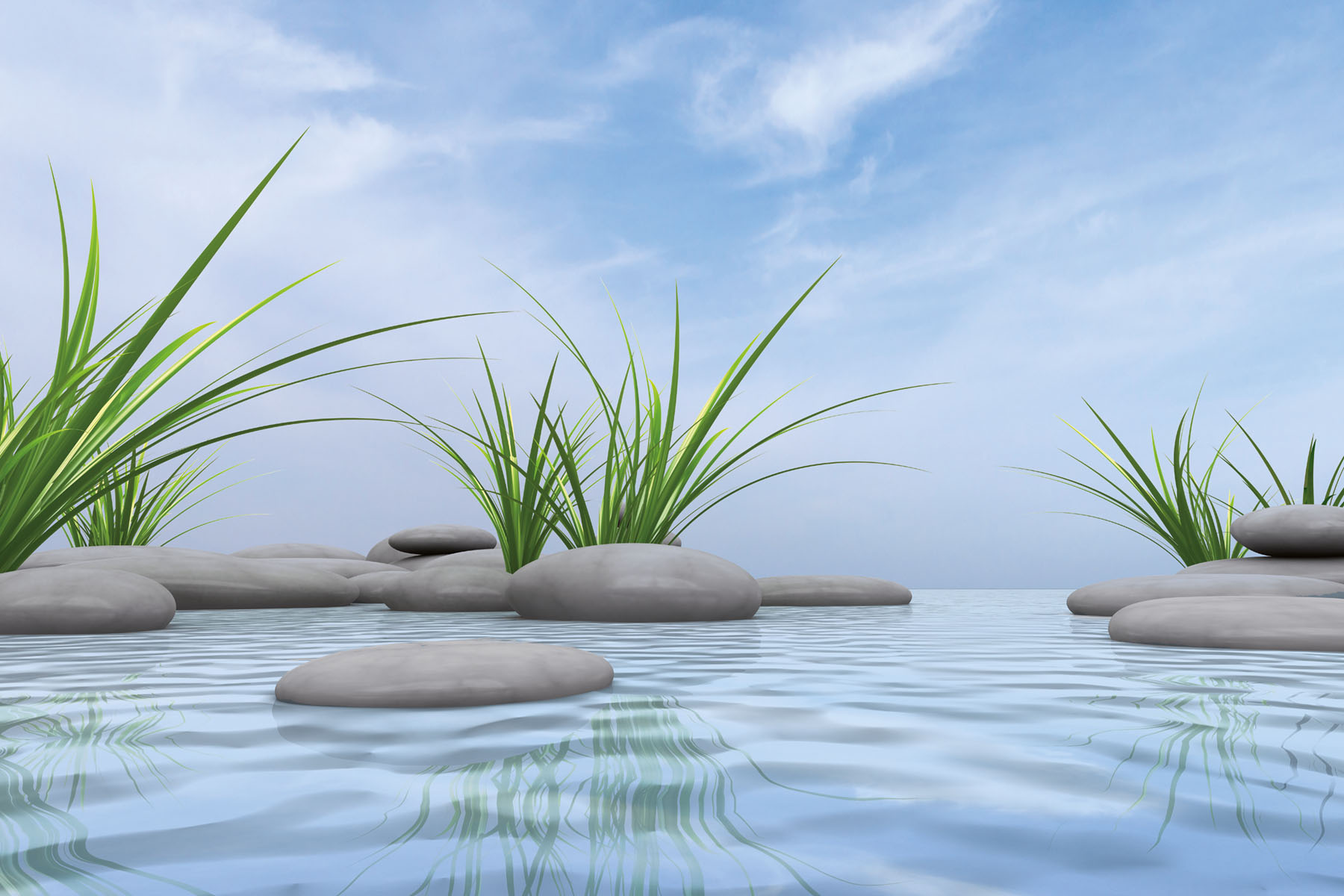 PlateART Duschrückwand Küchenrückwand Wandverkleidung Wellness Spa Zen Steine Gräser