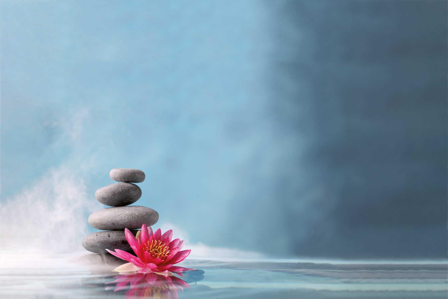 PlateART Duschrückwand Küchenrückwand Wandverkleidung Wellness Spa Zen Steine Blume