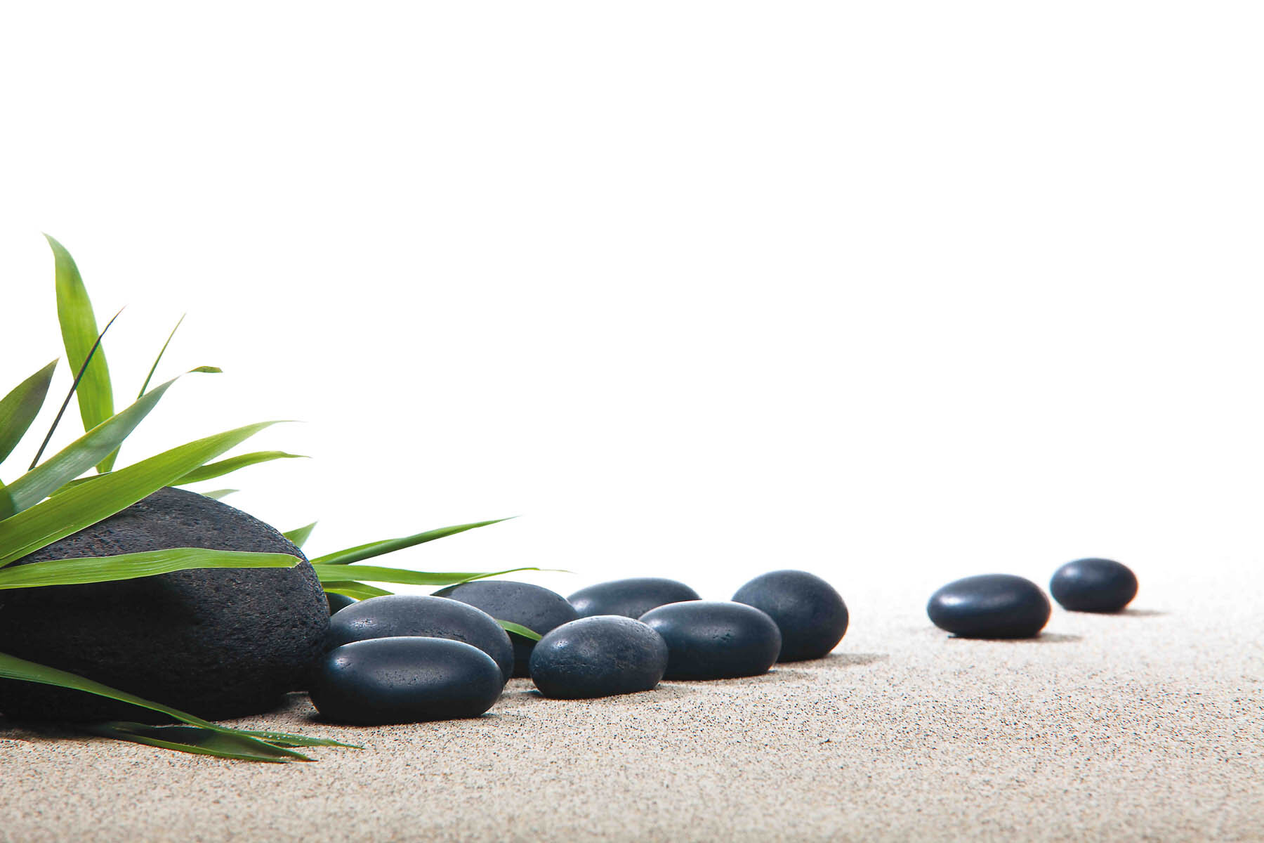 PlateART Duschrückwand Küchenrückwand Wandverkleidung Wellness Zen Steine Gräser