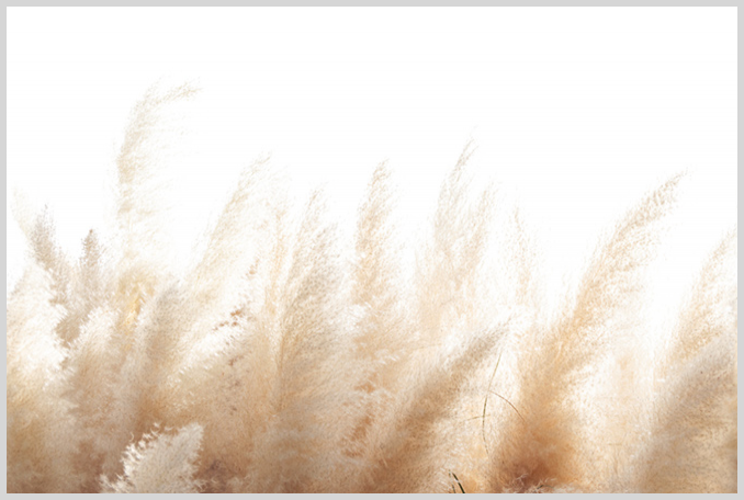 Konfigurator-Bild für ID 2187841